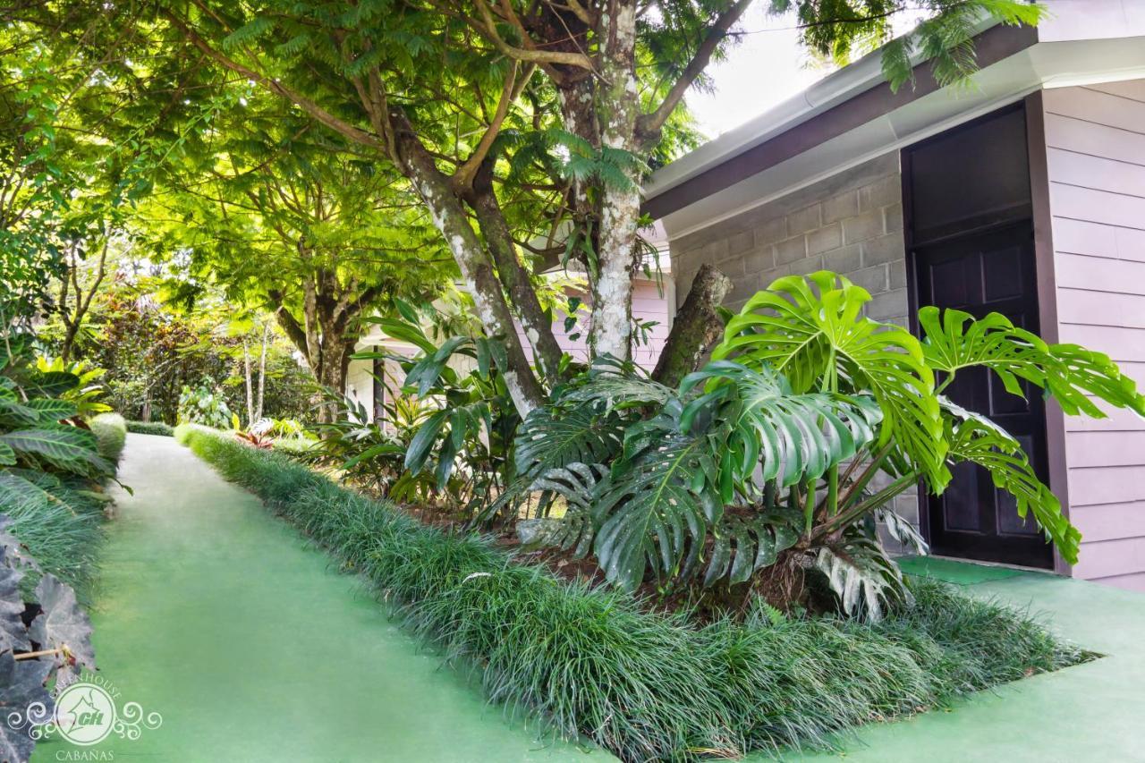 Cabanas Green House San Vito Zewnętrze zdjęcie