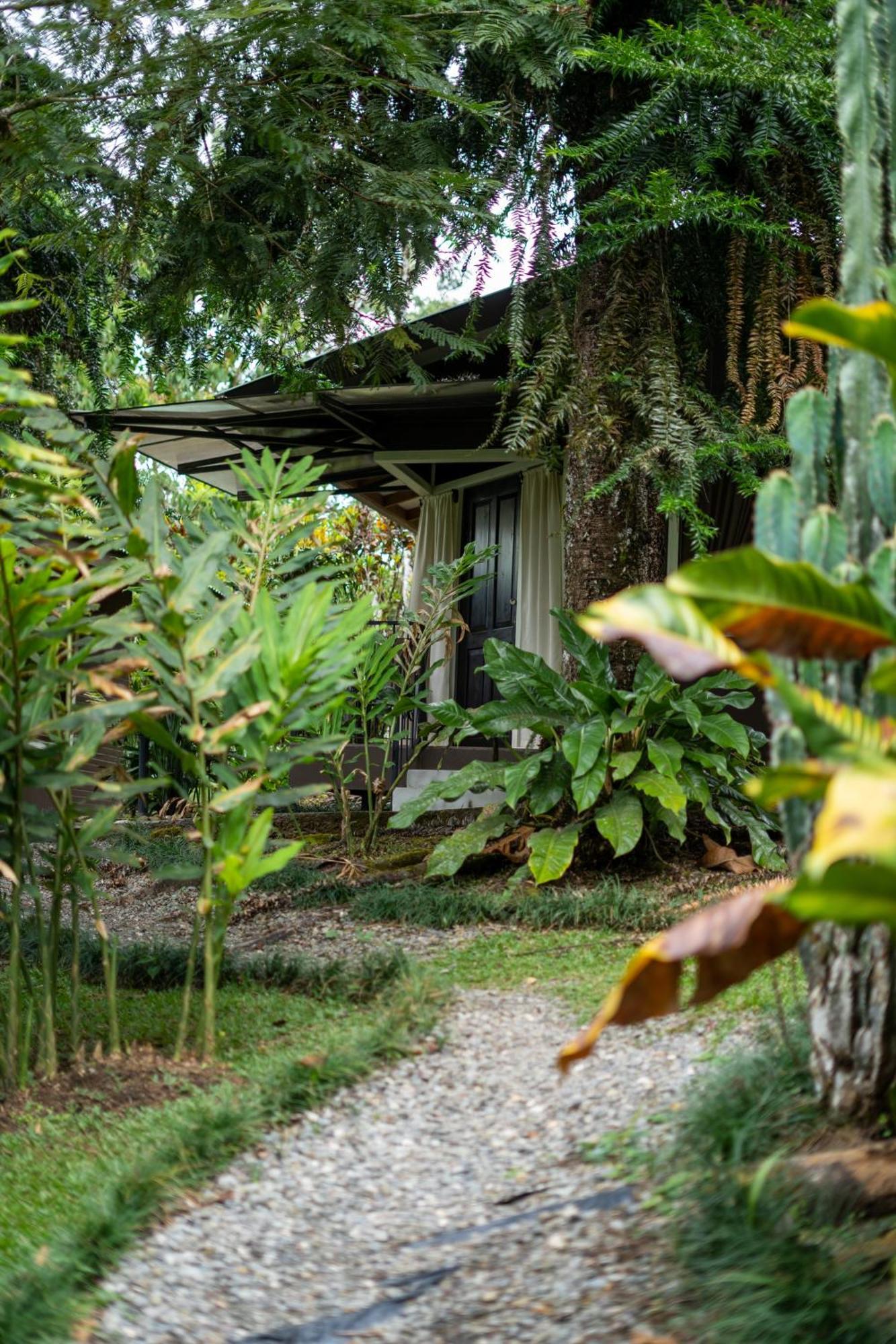 Cabanas Green House San Vito Zewnętrze zdjęcie